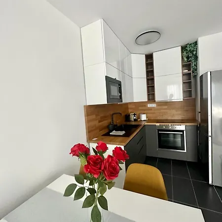 Panorama 2 #w6 #terrace #freeparking